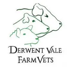 https://cdn.vetverified.com/logos/c905f7c78d9da5cbe8b6e04d2facc63c2f2f64c987690317f4fa5a49eb0f25ba.webp logo