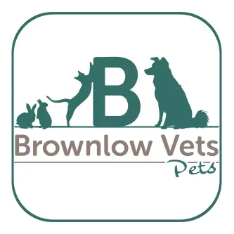 https://cdn.vetverified.com/logos/cc595523805005d1f8452c5f12814f5af45ae6fbf8dd31bc241963016cfe2d89.webp logo