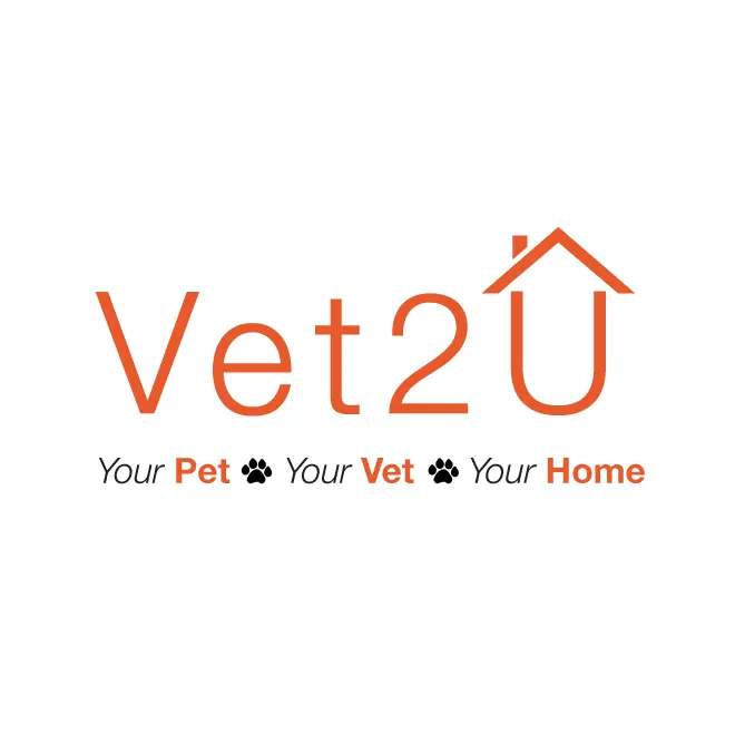 https://cdn.vetverified.com/logos/cc77a64fd4e767f33920c0d1ad79e24320e77b7c4a676d56485abb84a938c7ce.webp logo