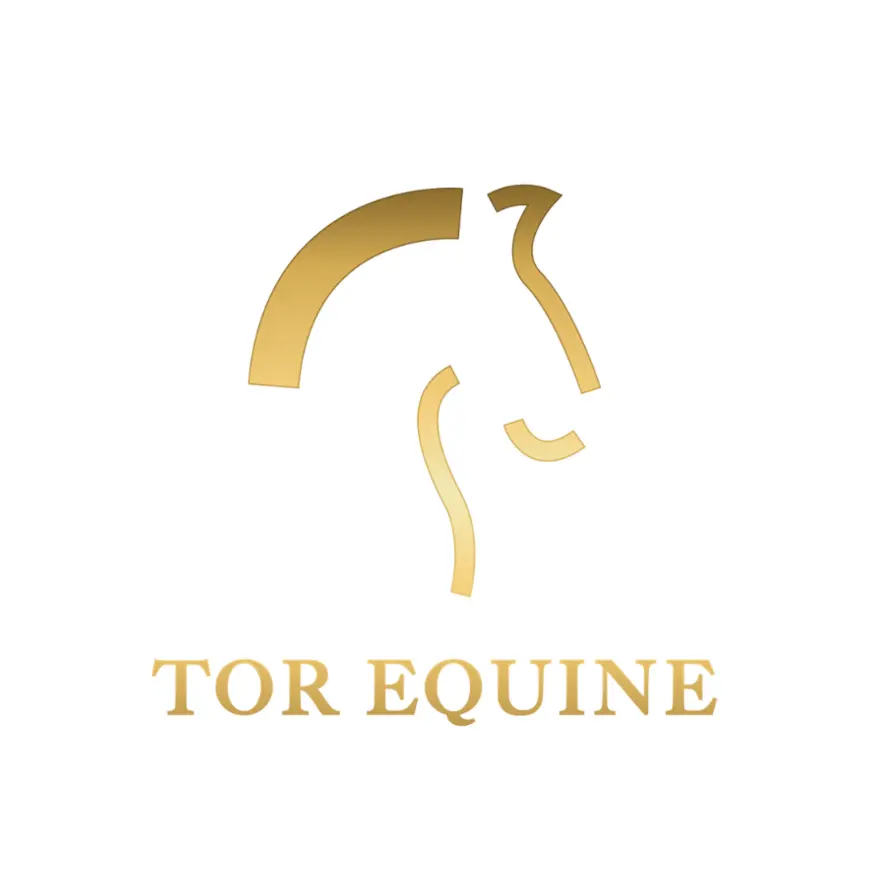 Tor Equine Vets