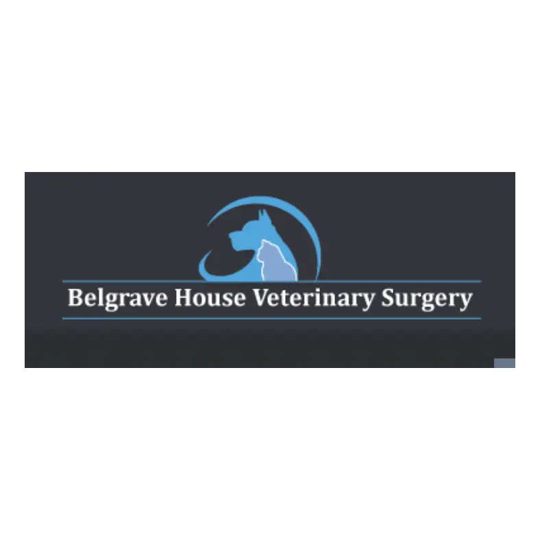https://cdn.vetverified.com/logos/d0c664cddf70aa3ac383ffc9ddb9ea78b660f933eb1d53ce401308a79e19de64.webp logo