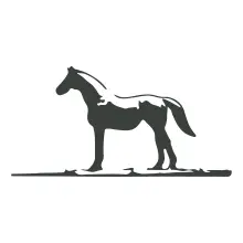 https://cdn.vetverified.com/logos/d271d0d8d2fa52a2be7c1fac17a926ac212885432a5c8e69d3de668fcd0d8282.webp logo
