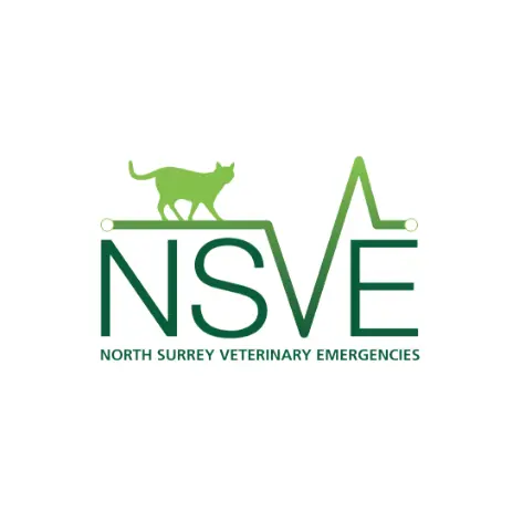 https://cdn.vetverified.com/logos/d4d9a87259ad1ce6a3132197e1a38cd18bfe23a3e111a24a8c96ac7290ebda8f.webp logo https://cdn.vetverified.com/logos/d4d9a87259ad1ce6a3132197e1a38cd18bfe23a3e111a24a8c96ac7290ebda8f.webp logo