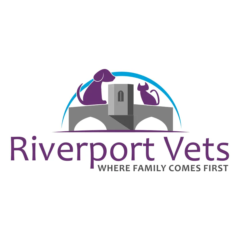 https://cdn.vetverified.com/logos/d74a3cb4116bd3c295b71985a2a1140a00f126281bc501e76a7a8471f5d79778.webp logo