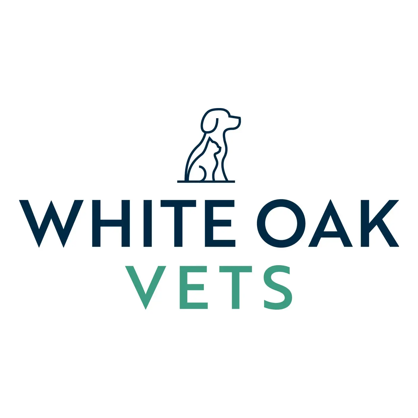 https://cdn.vetverified.com/logos/d84cc006fc9068c038cc7a4f43829ef60308178d3a8f6c846d5c8a2c3ffff2e0.webp logo