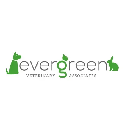 https://cdn.vetverified.com/logos/da0b19f0d033681fa5802ca3777b21a223e2e38ed90a2ab02a91cc389e13feb3.webp logo
