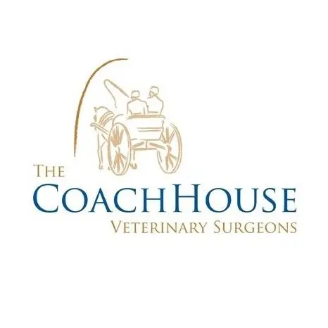 https://cdn.vetverified.com/logos/e3980f6ace85e13ab2a265f6dd4d0531b9d805144565d1b06faad2d9ce2b1474.webp logo https://cdn.vetverified.com/logos/e3980f6ace85e13ab2a265f6dd4d0531b9d805144565d1b06faad2d9ce2b1474.webp logo