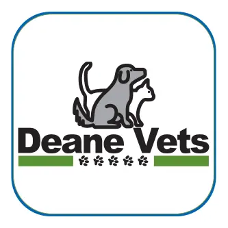 https://cdn.vetverified.com/logos/e70ca4b6d1417b144a97ea14318de8f8825839ff055deb12105a8485cd7e7869.webp logo