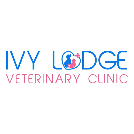 https://cdn.vetverified.com/logos/e78fb49f2da536b6568a640df8141ec187fb27b4ee6a8a650092e6779ff319dc.webp logo