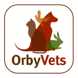 https://cdn.vetverified.com/logos/f30ca3673b00b31e454762fa9656fdf7d7b5049860011c37271c53db09245bce.webp logo