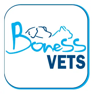 https://cdn.vetverified.com/logos/f522d2ce9f2ce0359077671ea3c144561f73fbc18c0e3b2cb8d3f5ac0fc0e053.webp logo