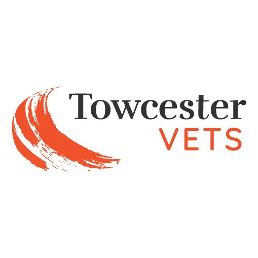 https://cdn.vetverified.com/logos/f62f22a5fa765d7411374033c9bfdaa7e6b03d0fa96f58372f9fcaf5b8e5255a.webp logo https://cdn.vetverified.com/logos/f62f22a5fa765d7411374033c9bfdaa7e6b03d0fa96f58372f9fcaf5b8e5255a.webp logo