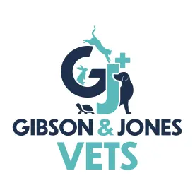https://cdn.vetverified.com/logos/f6b4e928fcd47d0f6ea03ba044efcdfc20d6f7d4df8487a0275167470f25be31.webp logo