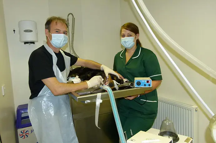 The Ark Veterinary Clinics practice photo 2