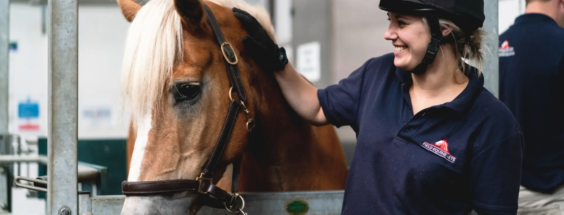 Field Equine Vets practice photo