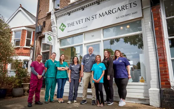 The Vet in St Margarets practice photo