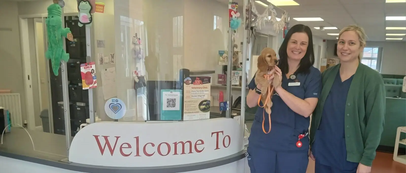 The Veterinary Hospital - Lincoln practice photo