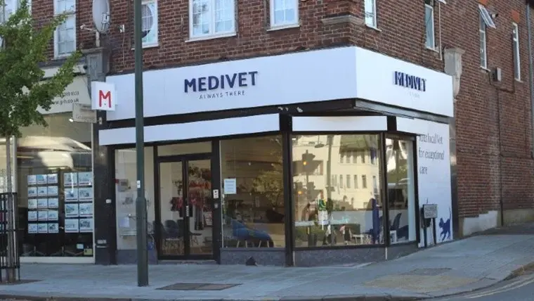 Medivet - Temple Fortune practice photo