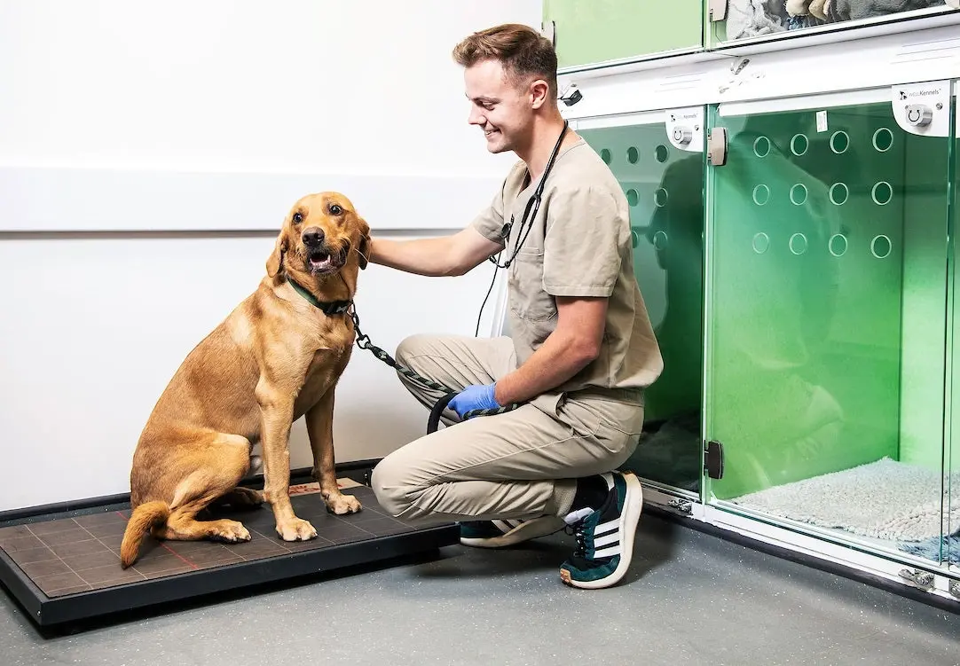 3 Mile Veterinary Centre practice photo 2