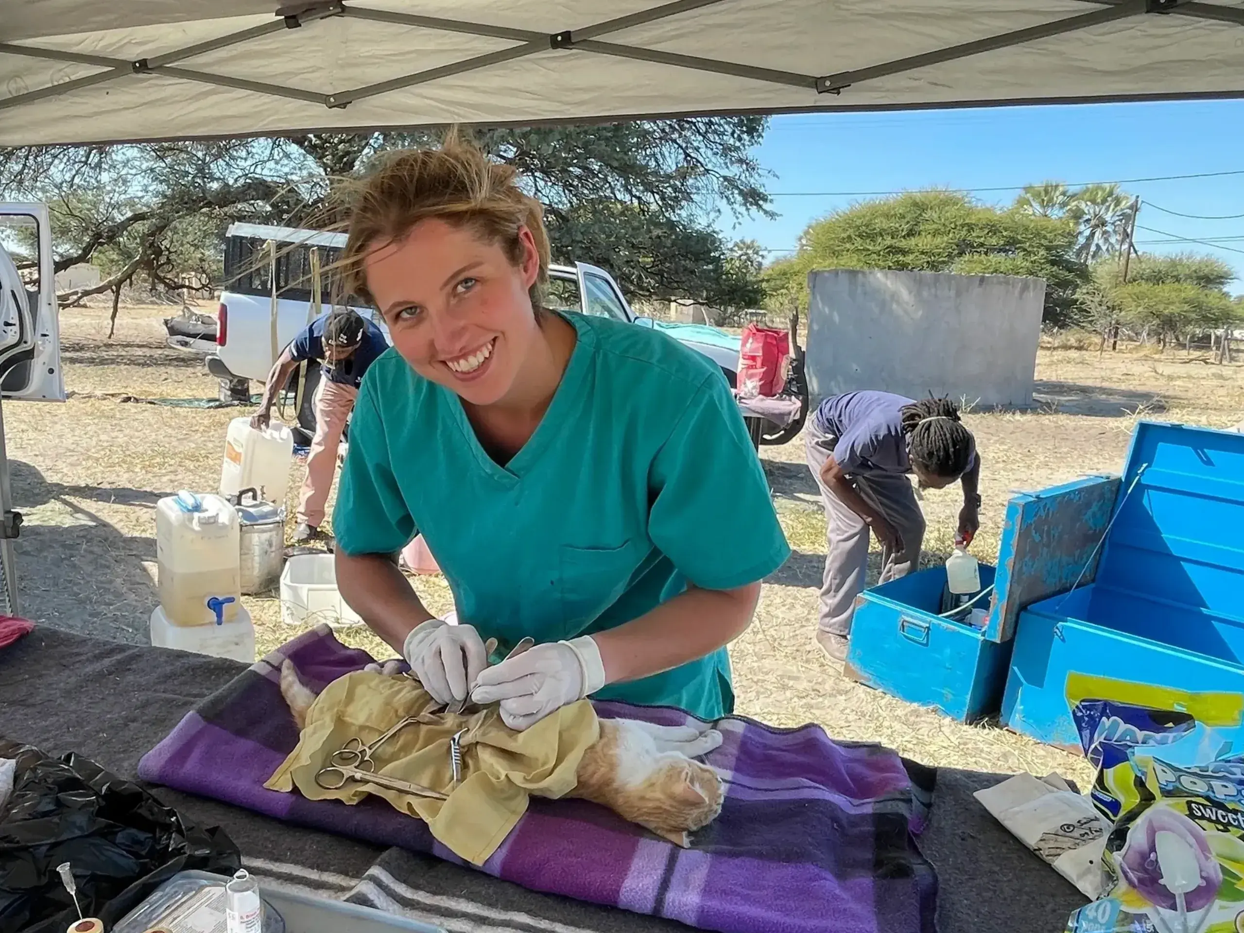 Strathbogie Veterinary Centre practice photo