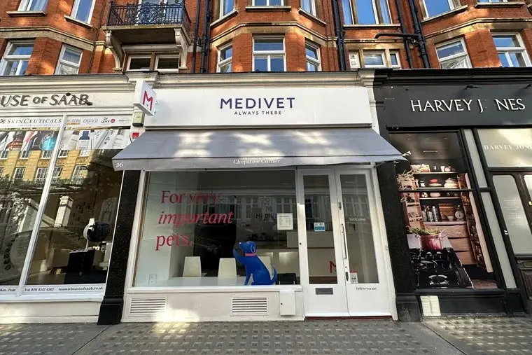 Medivet - Notting Hill Chepstow Corner practice photo
