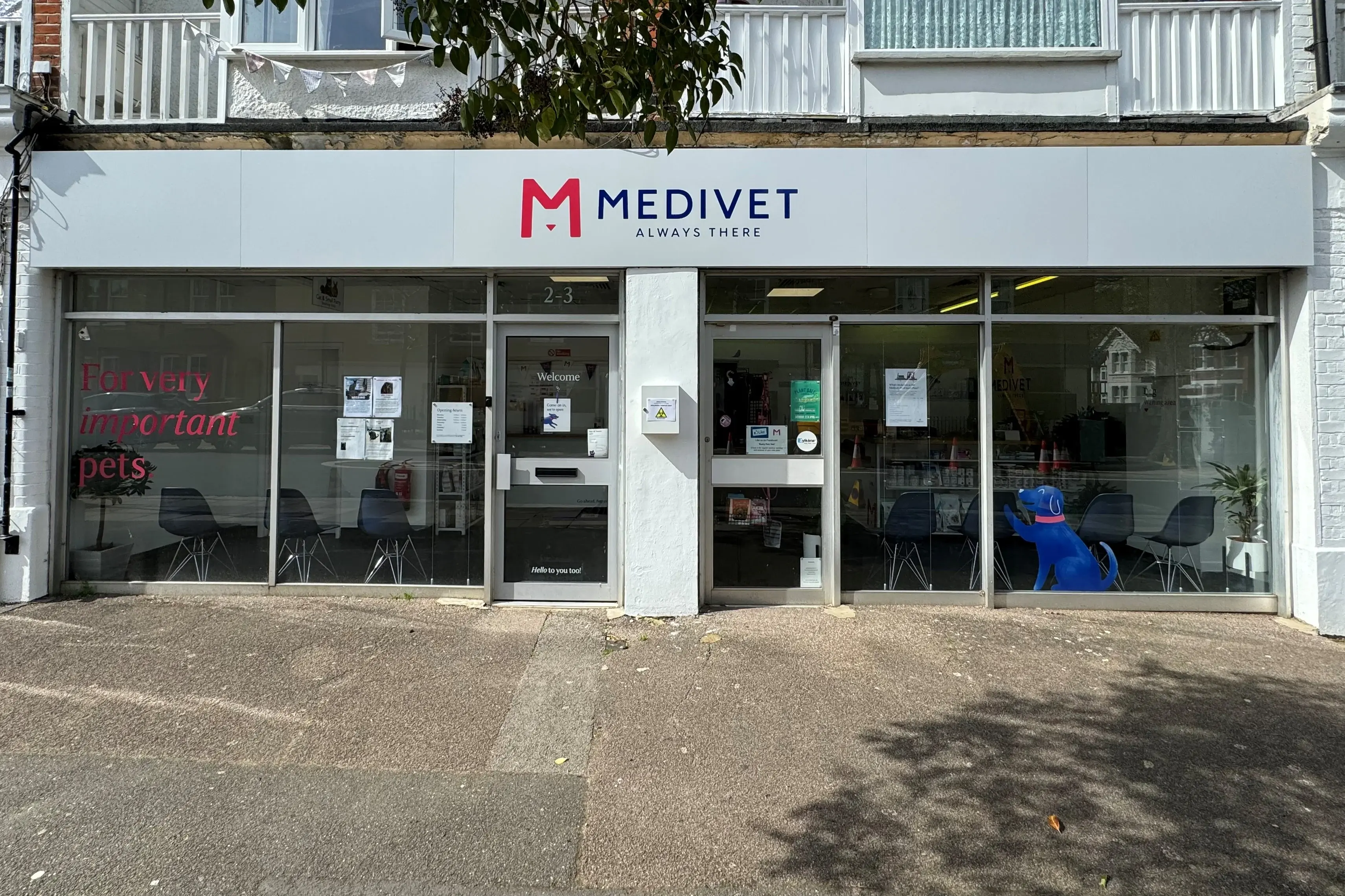 Medivet - Teddington practice photo