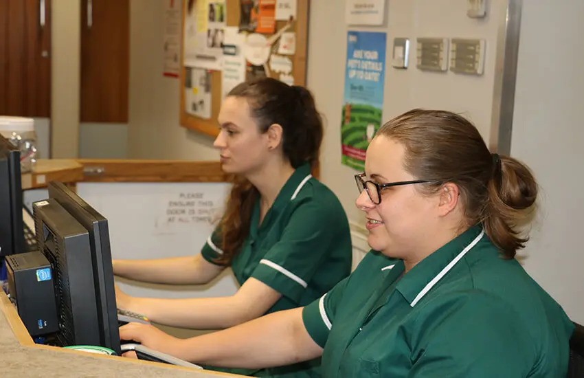 Affordable fees and terms for our veterinary services