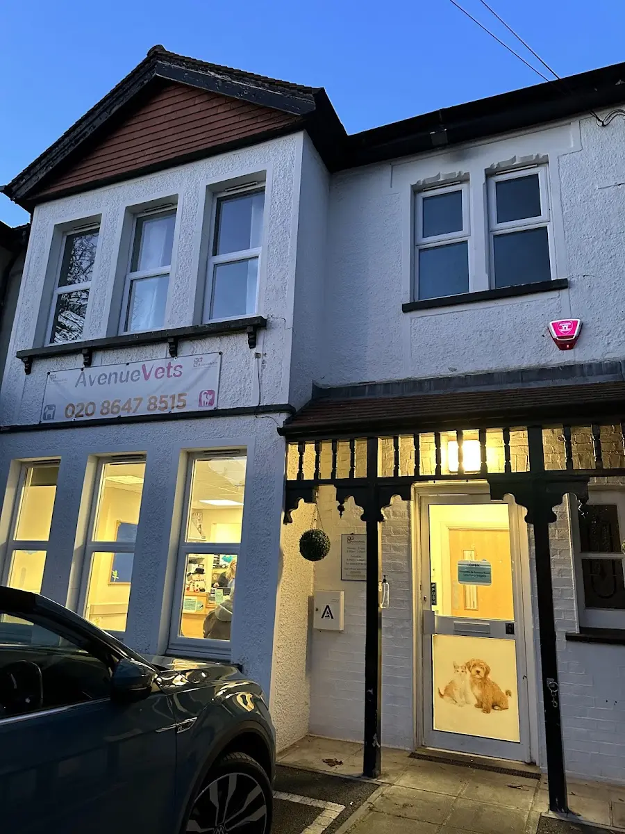 Avenue Road Veterinary Surgery Google Places photo 3 (Photo: Eleena PK)