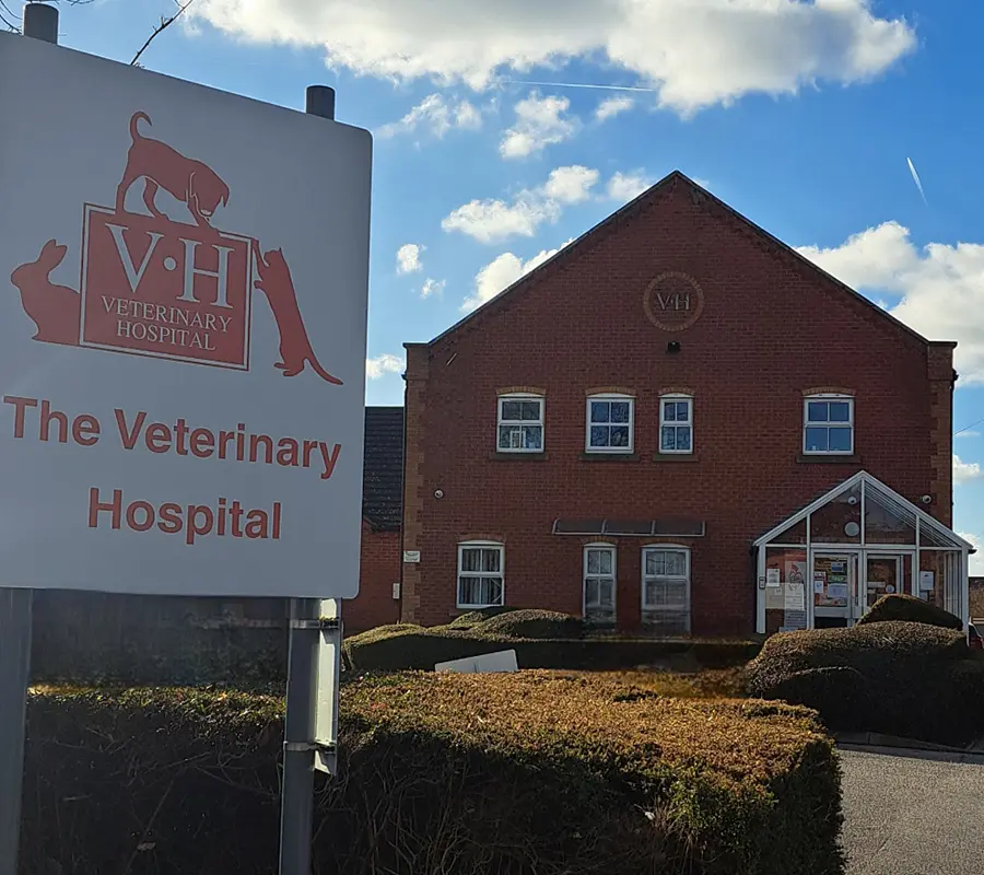 The Veterinary Hospital - Lincoln practice photo 2