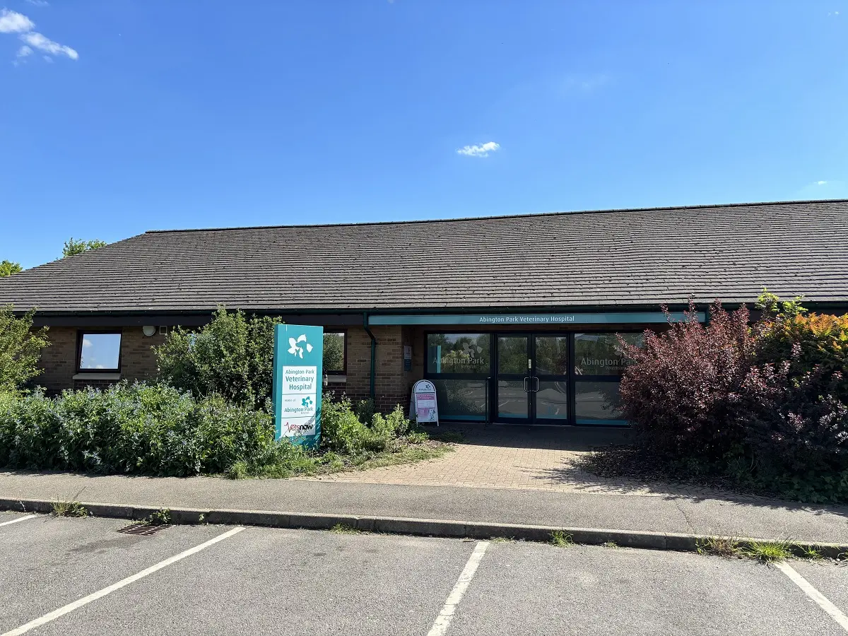 Exterior view of Abington Park Veterinary Hospital showing building and Vets Now signage among surrounding greenery.