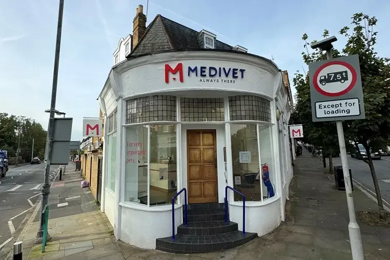Medivet - Wimbledon (Kydd and Kydd Vets) practice photo