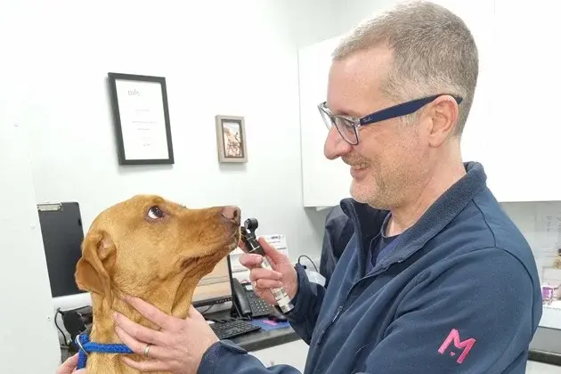 Medivet - Kenilworth (Feldon Veterinary Centre) practice photo 3