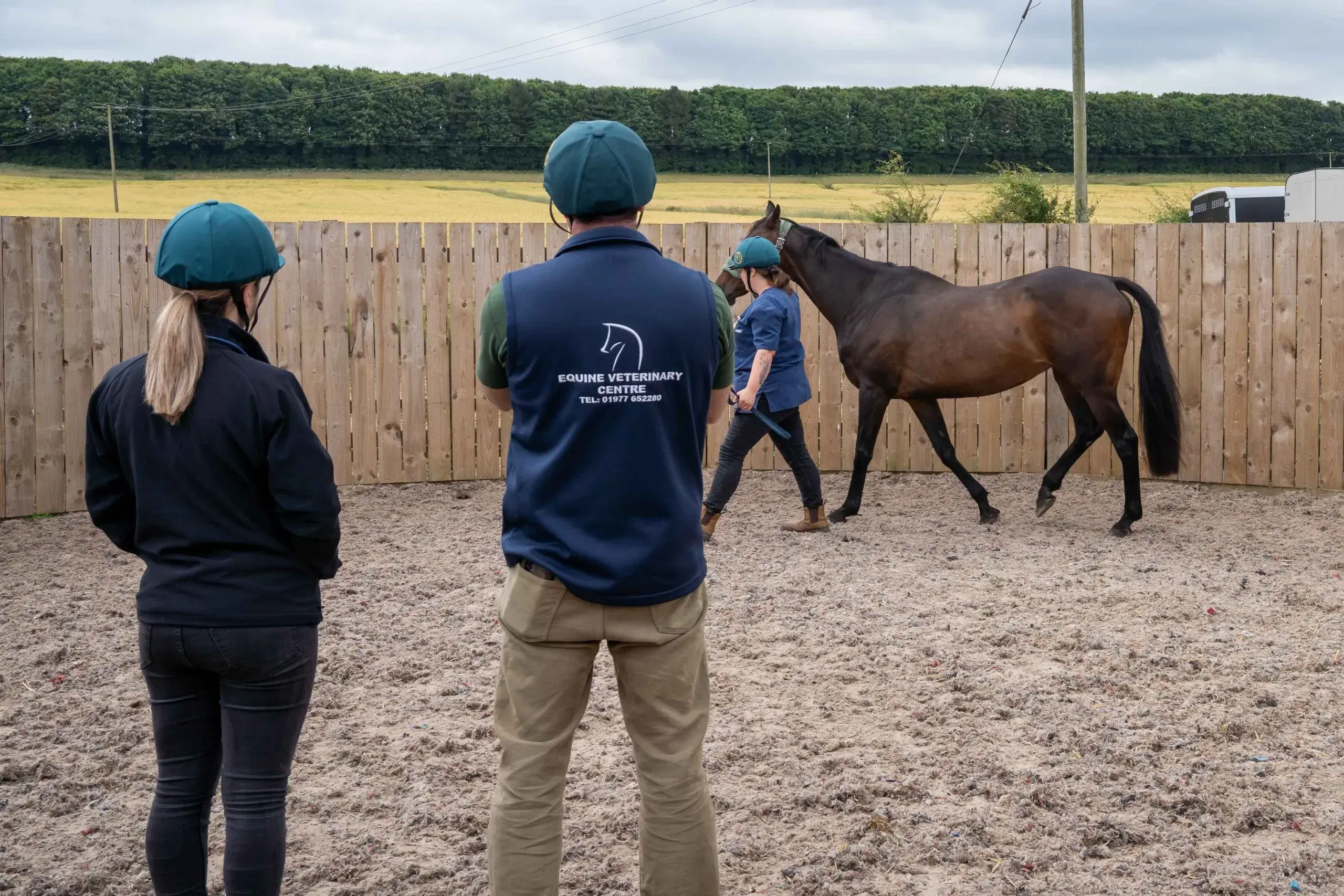 Equine Veterinary Centre practice photo 3