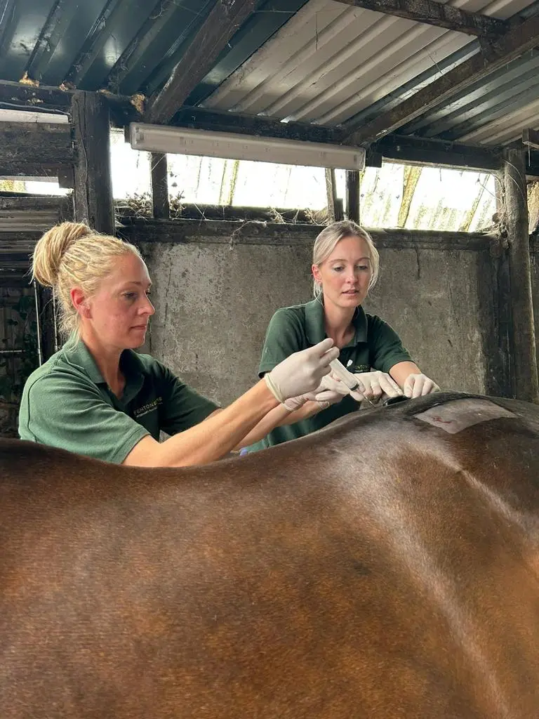 Fenton Equine Veterinary Clinic practice photo 2