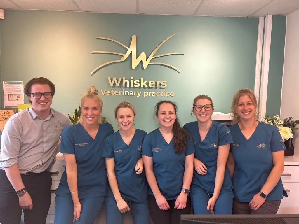 Whiskers Vets practice photo