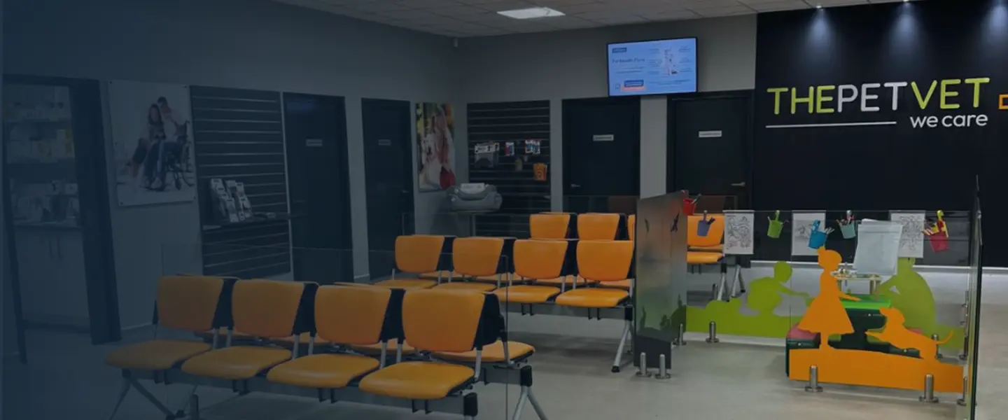 The Pet Vet - Waltham Forest practice photo 3