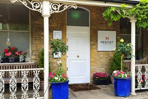 Medivet - Roehampton (Roehampton Veterinary Clinic) practice photo 2