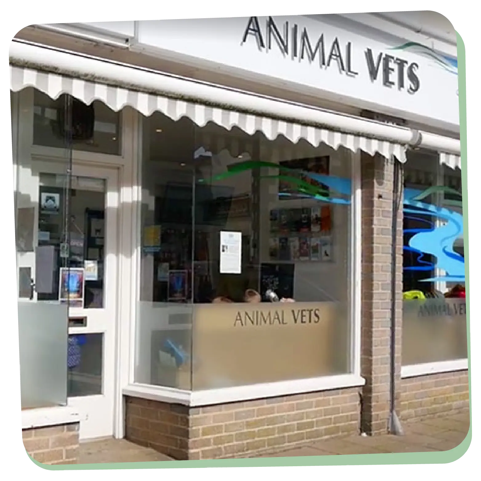 Animal Vets - Hayle practice photo