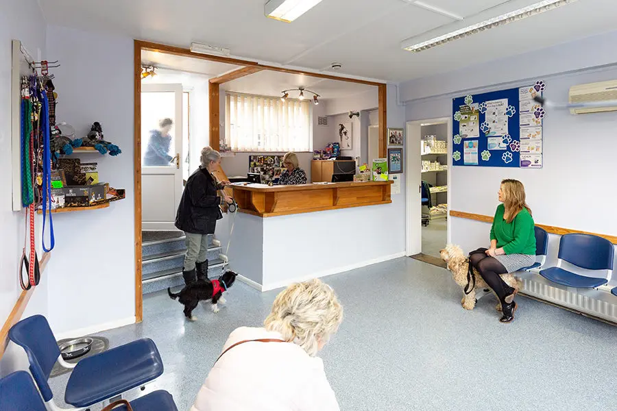 Christchurch Veterinary Surgery practice photo 2