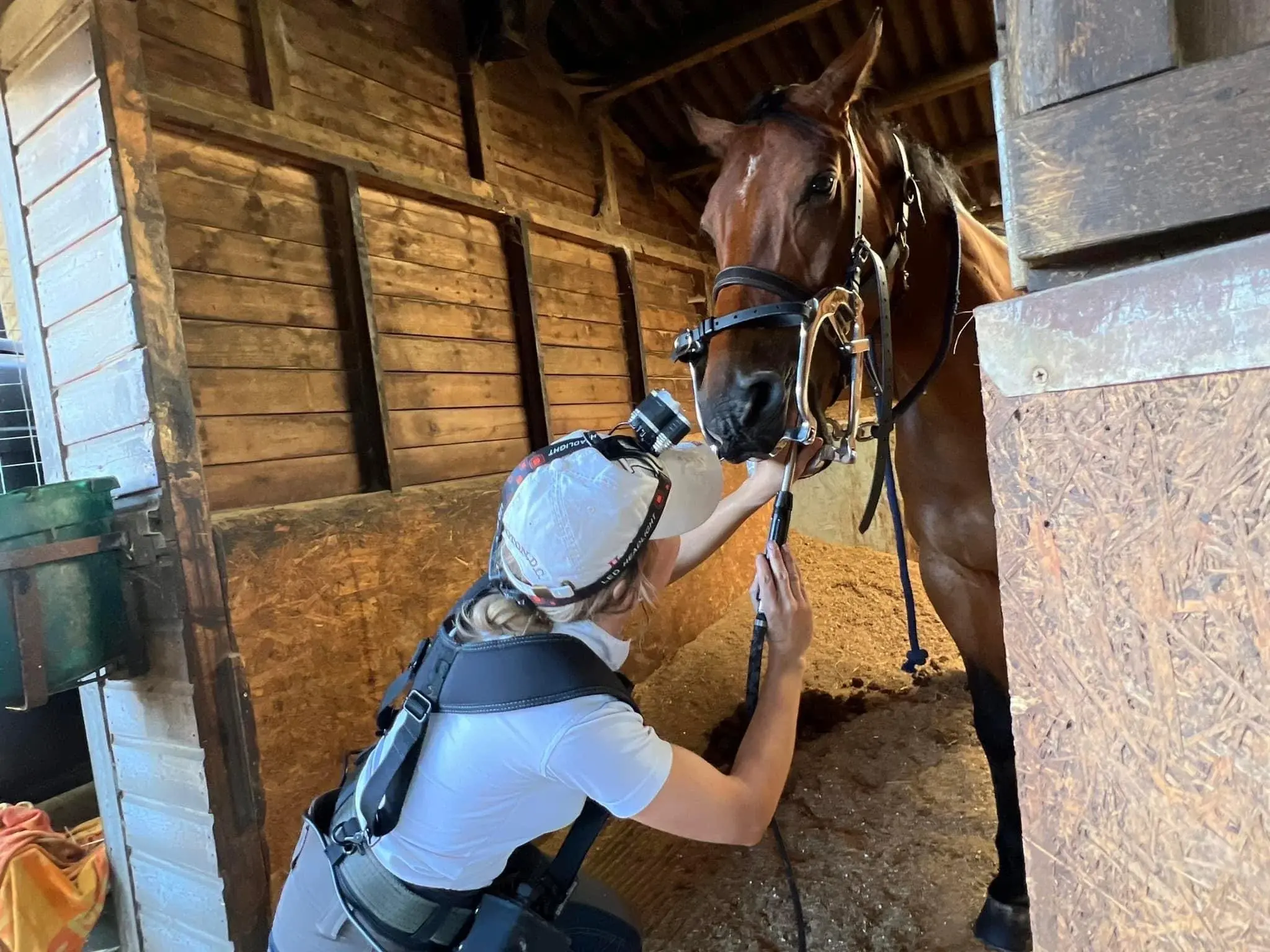 Pocket Nook Equine Vets practice photo 2
