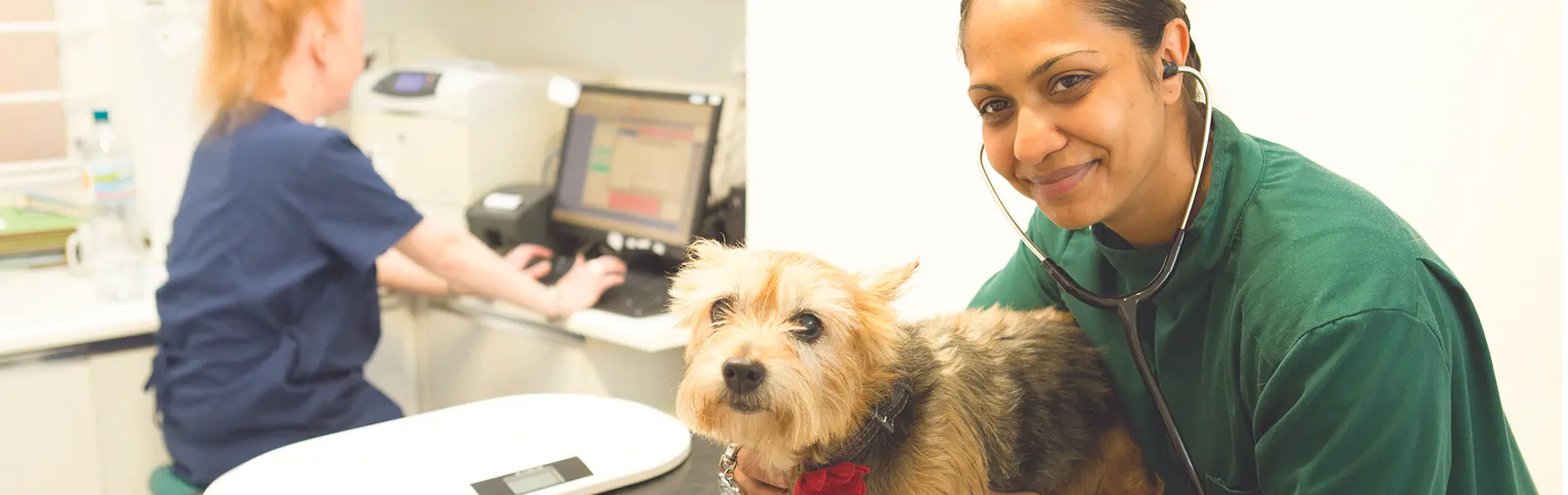 DNA Vetcare - Mead Veterinary Centre practice photo