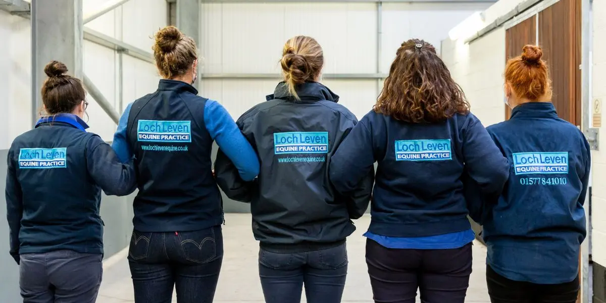Loch Leven Equine Practice practice photo 3