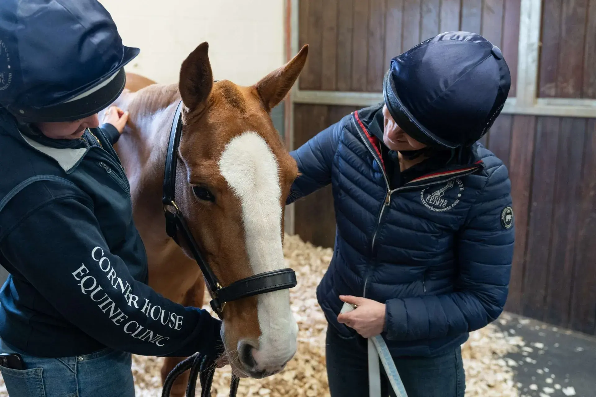 Corner House Equine Clinic - Ullenhall practice photo 3