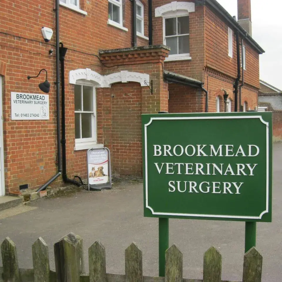 Brookmead Veterinary Surgery practice photo