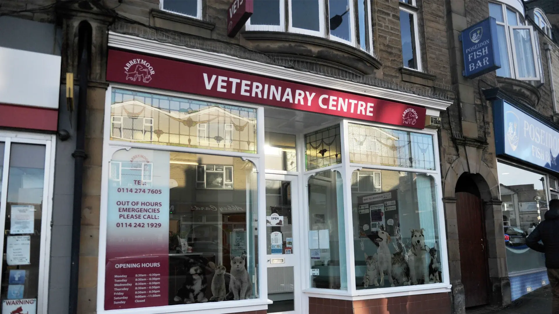 Abbey Moor Vets - Abbey Lane practice photo