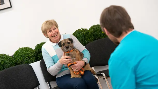 Dog with owner