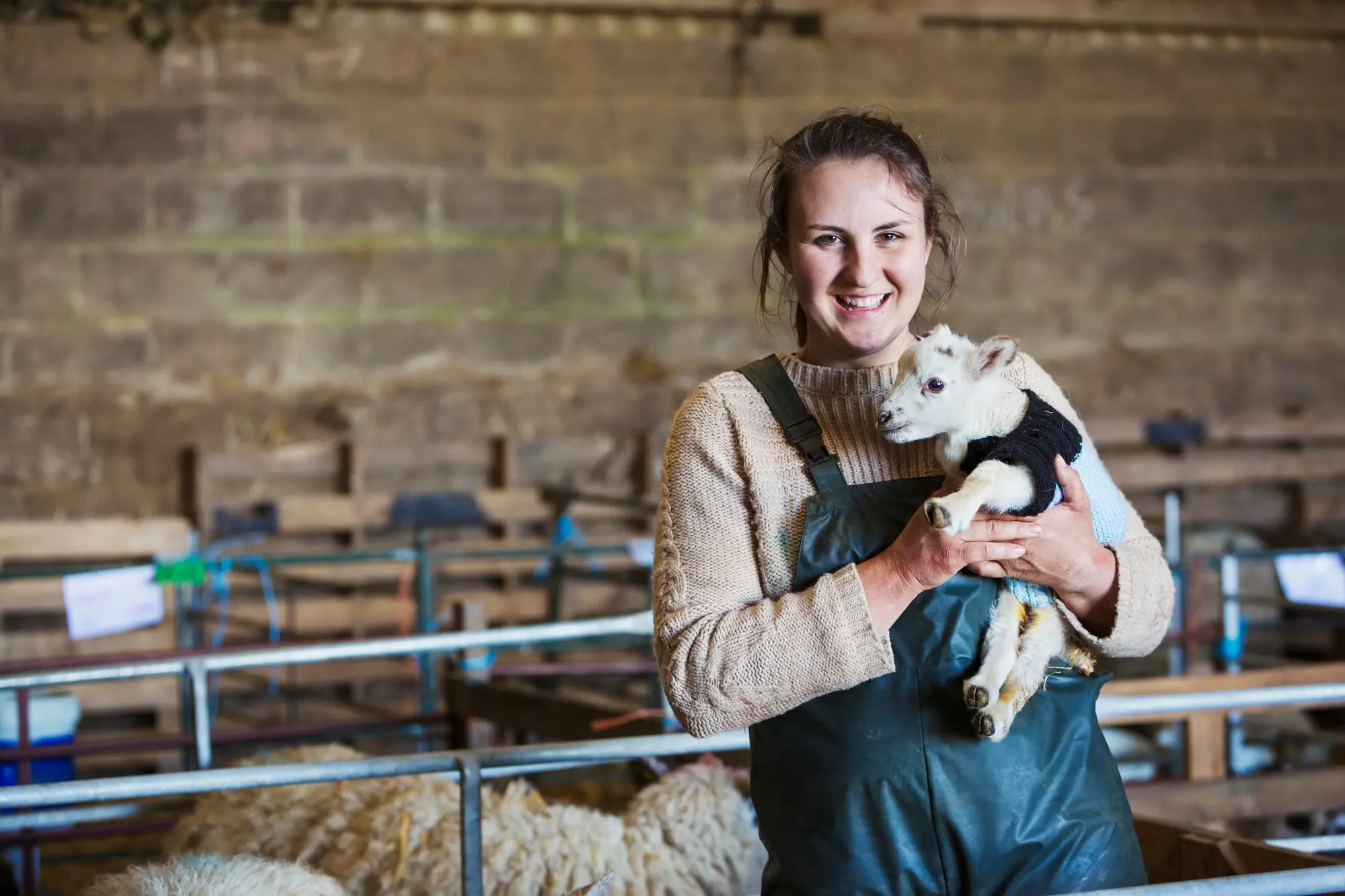 The Fold Farm Vets practice photo