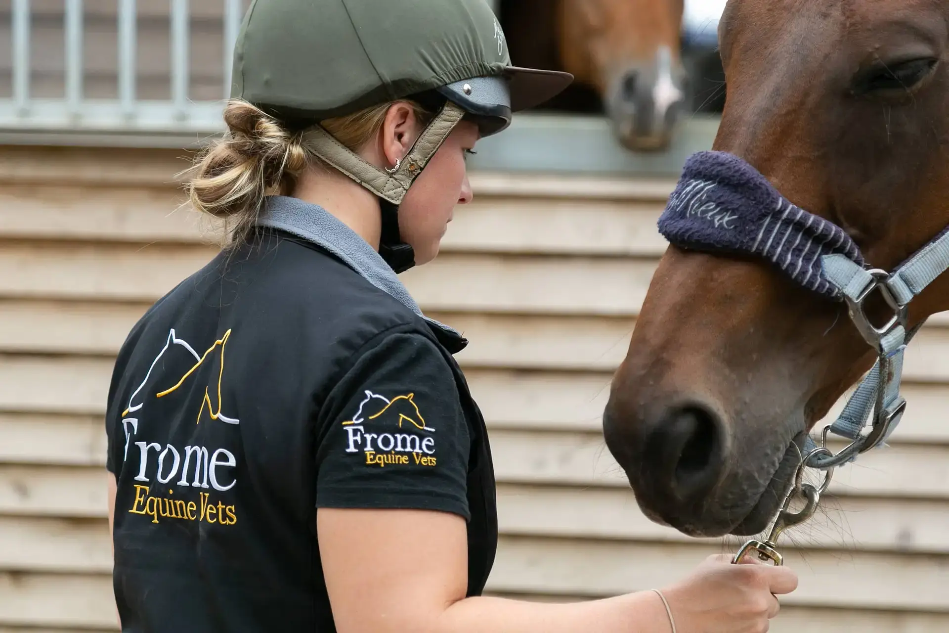 Frome Equine Vets practice photo