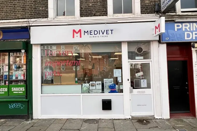 Medivet - Kentish Town practice photo