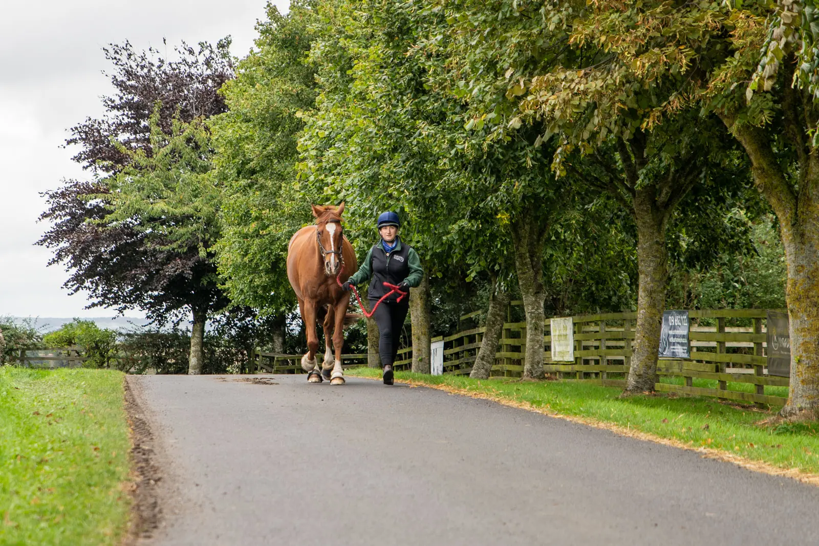 Durham Equine Practice (Web) 050